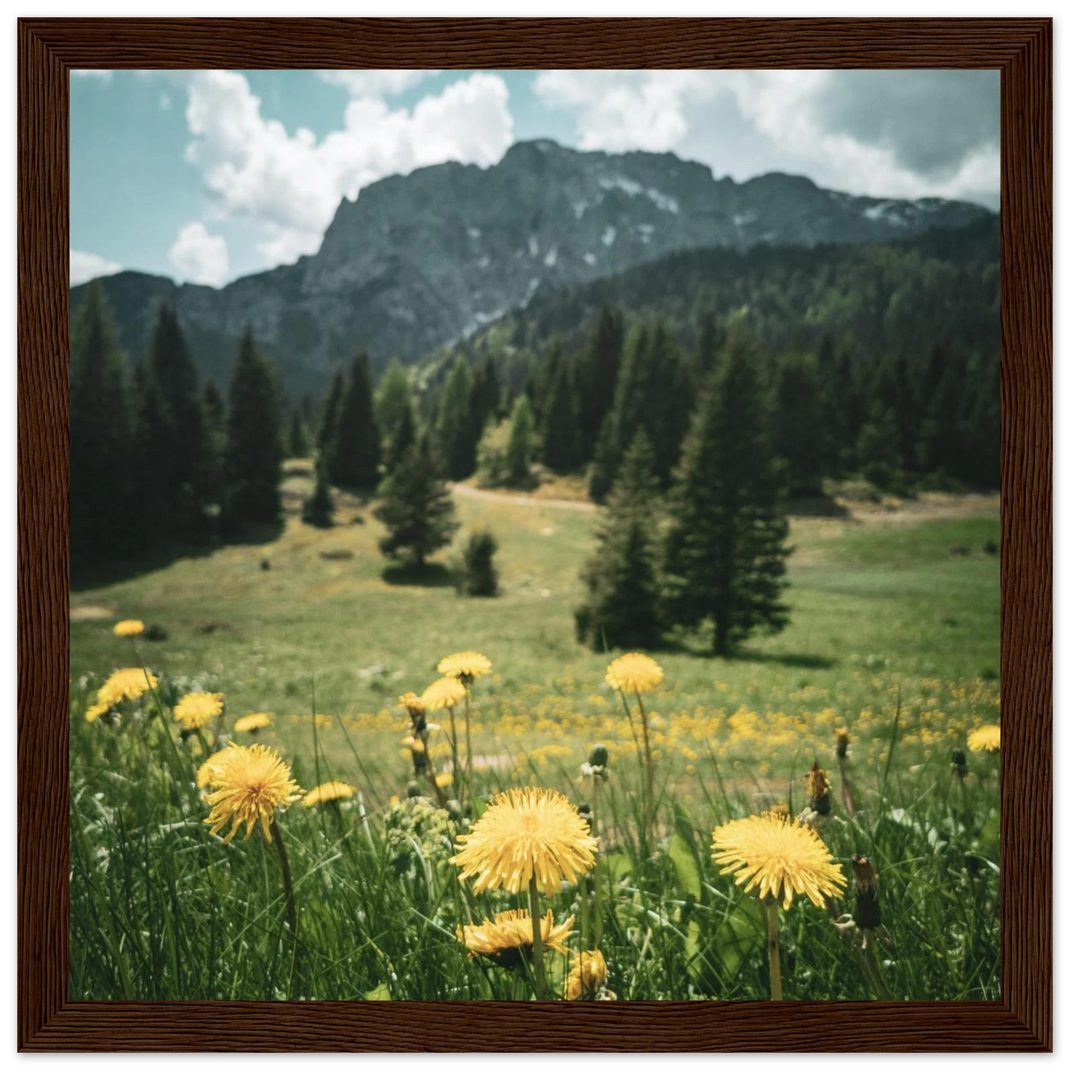 831ea3ca-ea74-4d49-9c8d-83c6a47a48a1