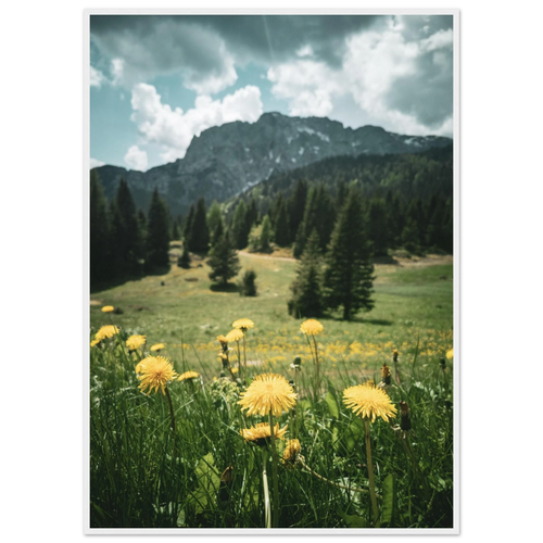 9dc05751-f558-4d41-8e04-7bc906881860