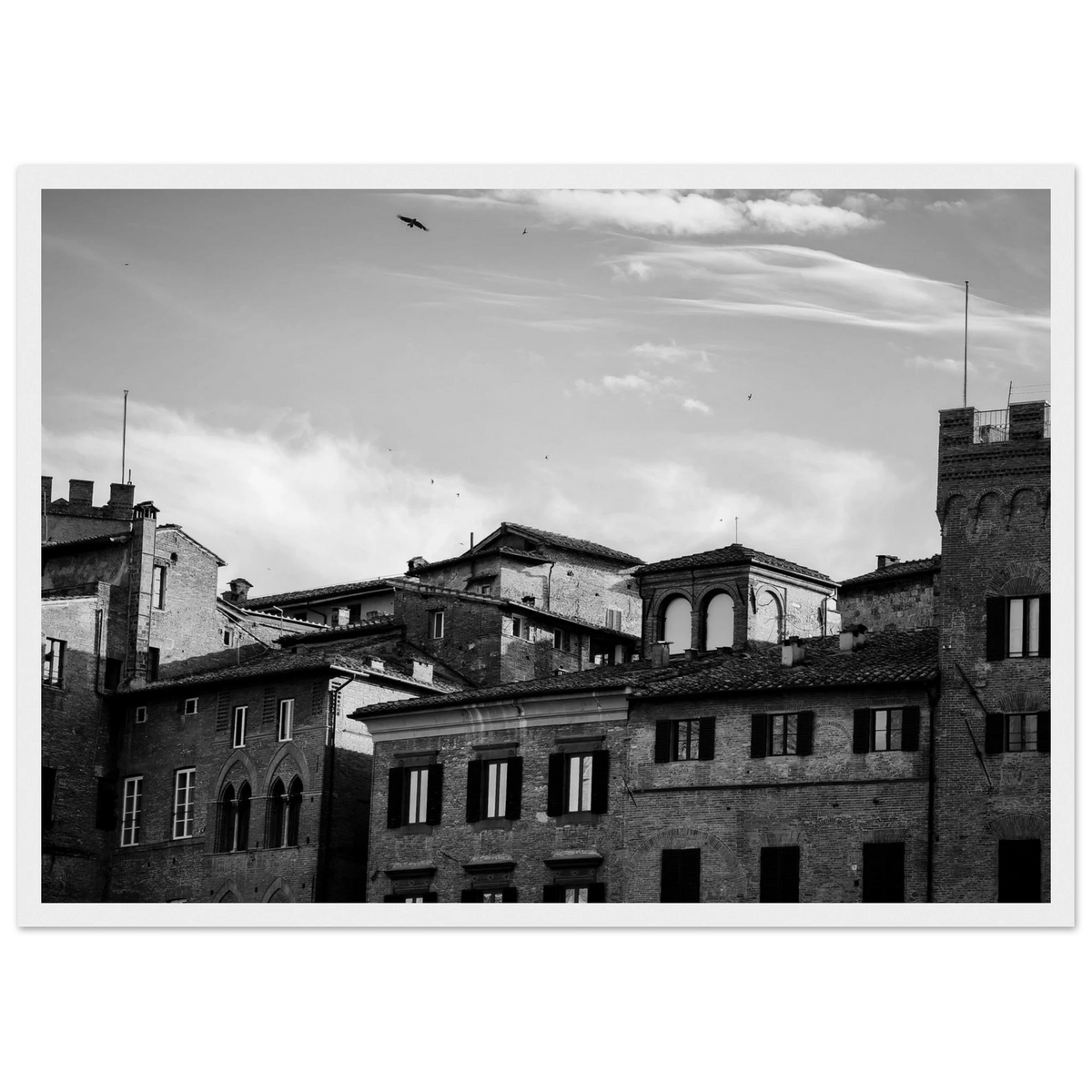 c6a77b04-096f-4847-a584-793070acda8d