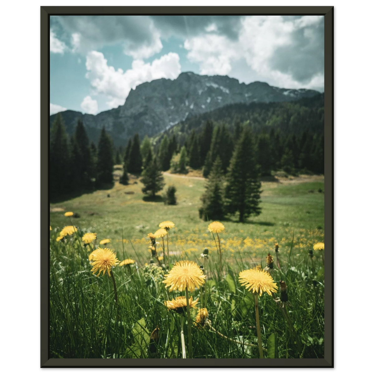 d8f1f0ad-80bc-4f36-b3de-83c91eae3160